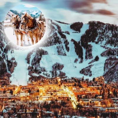 Digital Marketing Agency Aspen, CO Start Your Online Business Digital Marketing Agency Aspen, CO Start Your Online Business