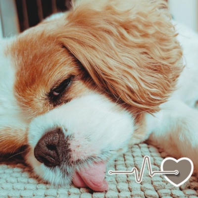 What If Your Visibility Didn’t Disappear Every Time You Took a Break?