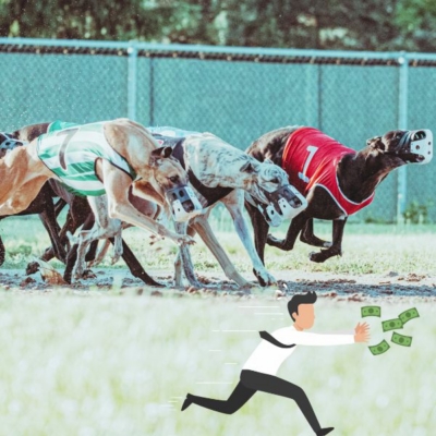 Why Chasing Social Media and Search Algorithms Feels So Unstable