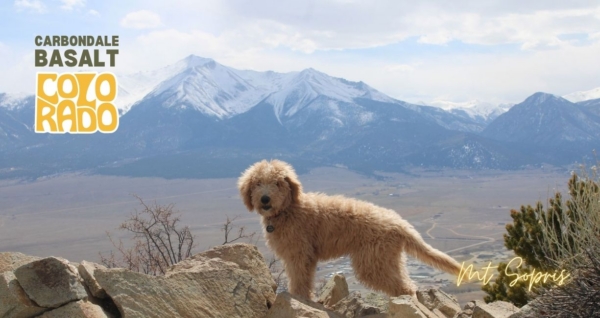 Carbondale – Basalt Colorado – Get found in local Google searches -Discover local SEO services here Carbondale - Basalt Colorado - Get found in local Google searches -Discover local SEO services here