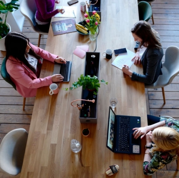 Carbondale - Basalt business offices looking for local SEO services in Colorado